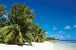 Desroches Island