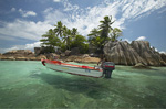 Paradise Sun
