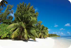 Desroches Island