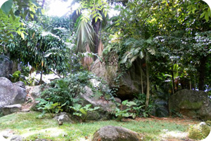 Le jardin botanique