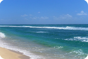 Littoral Sud de Mahé et ses plages