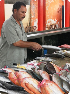 Marché aux poissons