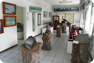 Musée d'histoire naturelle de Victoria au Seychelles
